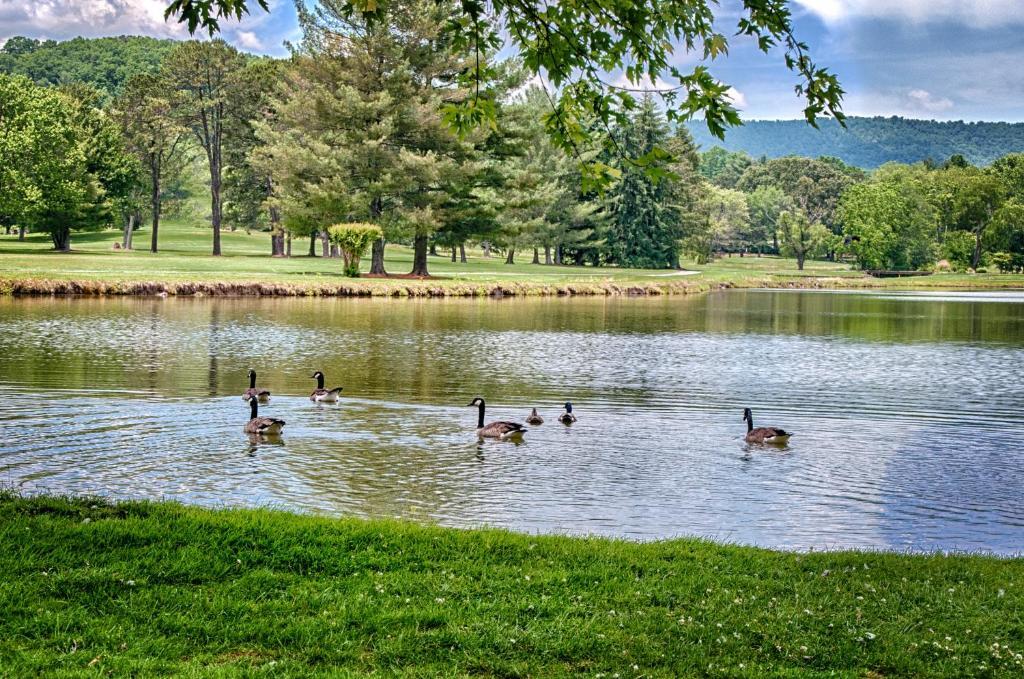Etowah Valley Golf & Resort Exterior foto